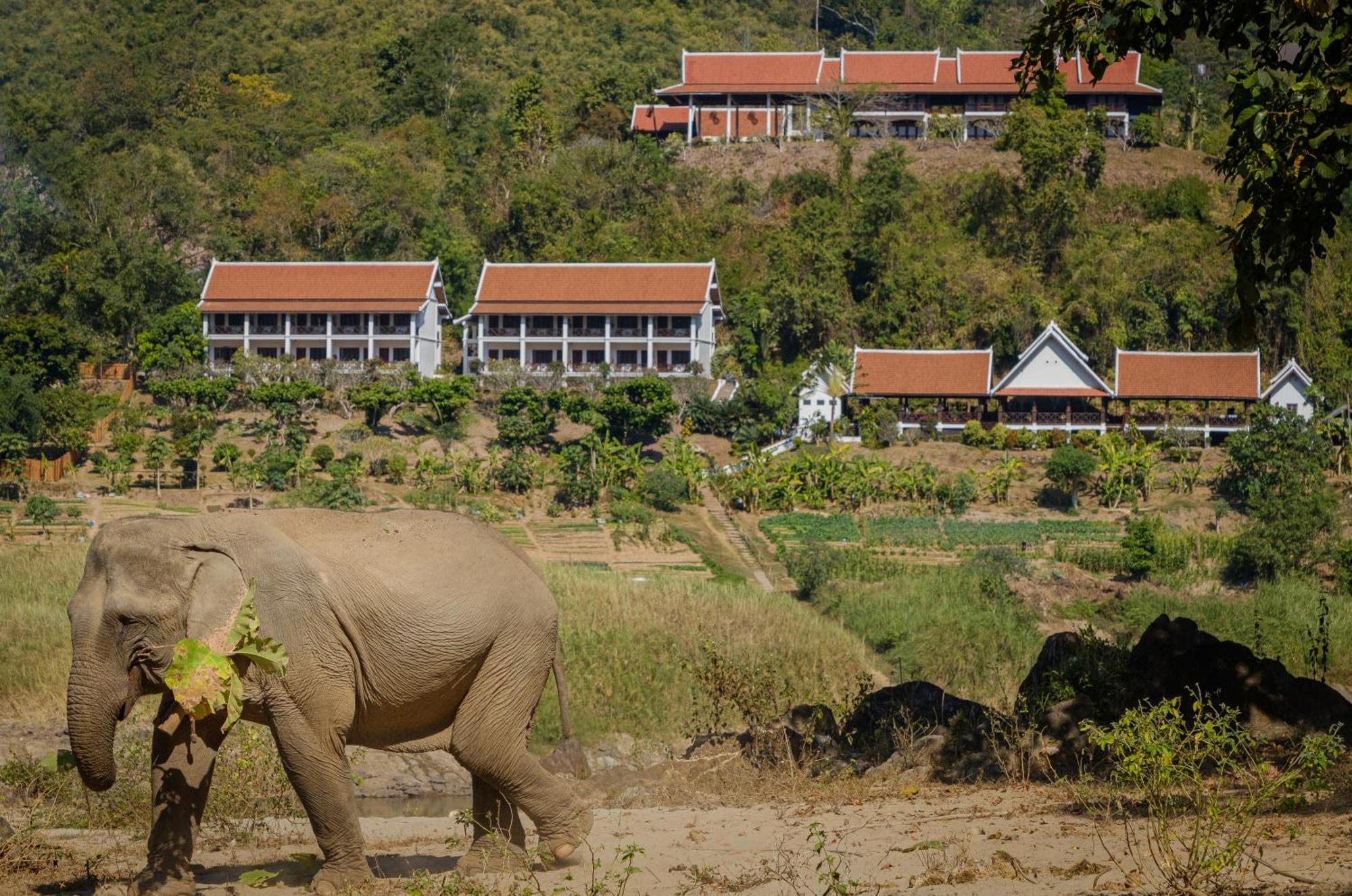 The Sanctuary Pakbeng Lodge Kültér fotó